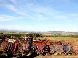 Tn IMG 1484